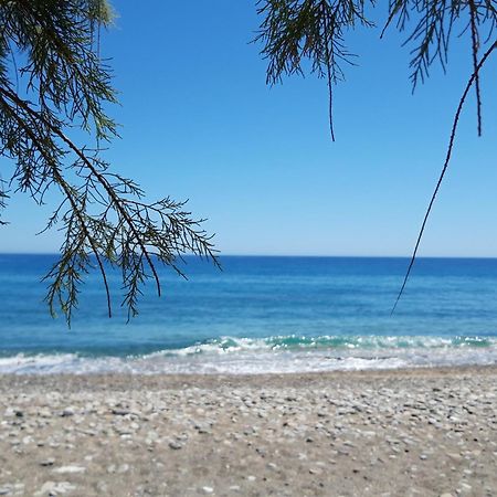 Crete Essence Villas - Makrygialos Chambre photo